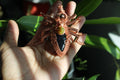 Black Widow Obsidian Spider Pendant