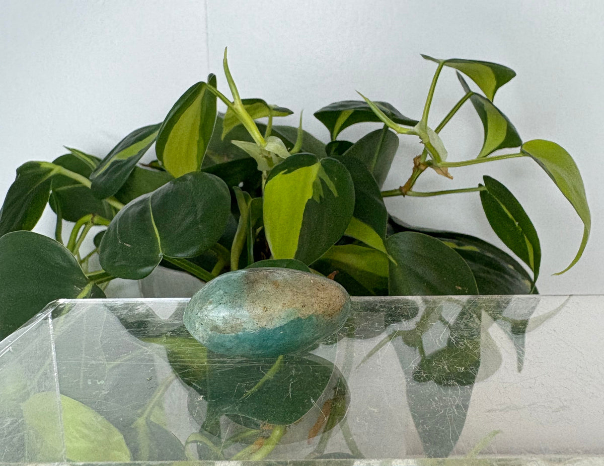 Amazonite Crystal Egg