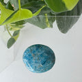 Apatite Palmstone