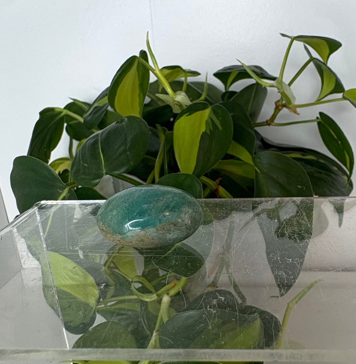 Amazonite Crystal Egg