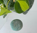 Amazonite Palmstone